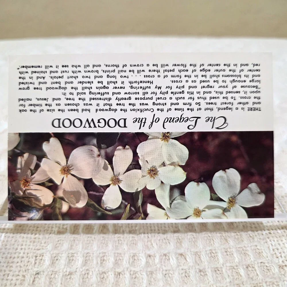 Vintage The Legend of the Dogwood Flower Religion Religious Story Postcard UNP